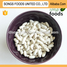 Importer white kidney beans long shape buyer